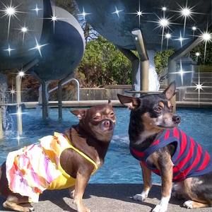 Meet your Posher, Wanda